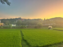 TaTanice七夕情人節(jié)禮盒空盒生日禮物盒禮品包裝盒伴手禮盒粉色蝴蝶結(jié)中號 曬單實(shí)拍圖