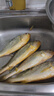 鴻順【冰鮮】黃花魚(yú)4條4斤 生鮮魚(yú)類(lèi) 寧德大黃魚(yú) 地標產(chǎn)品 源頭直發(fā) 曬單實(shí)拍圖