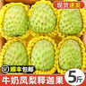 【順豐】現摘牛奶鳳梨釋迦大果 釋迦番荔枝佛頭果 熱帶新鮮水果 3斤 大果（單果4-6兩） 曬單實(shí)拍圖