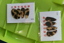 帶伊夏古箏指甲套免用膠布兒童專(zhuān)用初學(xué)小號透氣硅膠成人大號專(zhuān)業(yè)演奏 透氣款粉色 中號雙手 曬單實(shí)拍圖