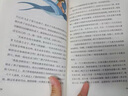 稻草人+格林童話+安徒生童話 快樂讀書吧三年級上冊（套裝3冊） 小學統(tǒng)編語文教材配套課外閱讀書目語文教材配套書目 曬單實拍圖