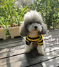 寵城狗狗衣服秋冬季可愛(ài)蜜蜂防掉毛泰迪比熊柴犬寵物貓咪冬天帶帽衛衣 小蜜蜂衛衣 S【建議2-4斤 具體參考胸圍背長(cháng) 曬單實(shí)拍圖