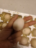 谷物富硒雞蛋新鮮雞蛋無(wú)抗雞蛋散養(yǎng)蟲(chóng)草雞蛋50g正負(fù)5g/枚早餐生鮮 富硒蛋8枚 曬單實(shí)拍圖