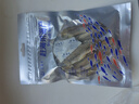 趕海弟香酥小黃魚即食魚干黃魚酥即食孜然味小黃魚酥35g學(xué)生海味零食 曬單實(shí)拍圖