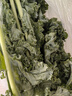 諸氏橙品【有機(jī)】羽衣甘藍(lán) 云南新鮮現(xiàn)摘 健康輕食沙拉食材 榨汁有機(jī)蔬菜 有機(jī)羽衣甘藍(lán)1.2KG【實(shí)惠暢享】 曬單實(shí)拍圖