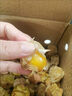 產(chǎn)地直發(fā) 黃金菇娘果 東北特產(chǎn) 精品嚴選 應季水果 東北姑娘果 1斤 紙箱裝 曬單實(shí)拍圖