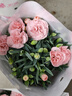 帶花苞發(fā)貨 · 康乃馨盆栽 · 陽(yáng)臺室內花卉盆栽辦公室鮮花綠植 粉色康乃馨【帶花苞】 曬單實(shí)拍圖
