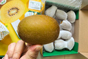 佳沛（zespri）新西蘭陽光金果 8個裝 特大果單果122-146g 中秋水果禮盒 獼猴桃 曬單實拍圖