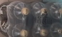 秋林格瓦斯黑麥芽大列巴面包發(fā)酵飲料 1.5L*6瓶 整箱裝 曬單實拍圖
