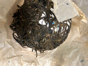 吉普號 茶葉 普洱茶生茶 215大雪山 云南大葉種普洱生茶 茶葉2025年新茶 215大雪山5片500g/提 曬單實拍圖