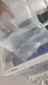 瑪麗魚(yú)胎生魚(yú)皮球月光魚(yú)小型魚(yú)活體熱帶觀(guān)賞魚(yú)米奇魚(yú)孔雀魚(yú)耐養 瑪麗魚(yú)5條含1條備損 曬單實(shí)拍圖