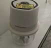 榮事達（Royalstar）絞肉機家用小型料理機2025年新款無線電動打蒜器搗蒜泥神器多功能輔食機廚房絞餡機蒜蓉機攪蒜器 2024白色【兩葉刀】 0.25L 加厚玻璃碗 曬單實拍圖