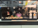 寵小島混養缸魚(yú)缸烏龜缸飼養缸魚(yú)龜混養生態(tài)一體缸過(guò)濾制氧懶人新手魚(yú)缸 京倉發(fā)貨【奢華款】黑色+燈+過(guò)濾+造景+抽水 大號(55.0x30.0x29.4cm) 曬單實(shí)拍圖