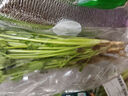 帶根香菜100g 曬單實(shí)拍圖