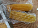 新鮮黃糯白糯黑糯玉米真空包裝速食玉米軟糯香甜代餐早餐美味 黃糯玉米180g-220g 2根裝 曬單實(shí)拍圖