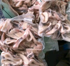 Members MarkMember's Mark 冷凍魷魚(含魷魚圈及魷魚須) 1.2kg 1.2kg 曬單實拍圖