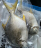 1號會(huì )員店（One's Member）甄選海南二去金鯧魚(yú)去鰓去內臟生鮮魚(yú)類(lèi) 海鮮水產(chǎn) 700g/2條裝 曬單實(shí)拍圖