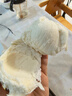 富世康山東特產(chǎn) 戧面饅頭 正宗老面饅頭 新鮮真空裝 方便速食 面點(diǎn)早餐 老面饅頭20個裝（2.4kg) 曬單實(shí)拍圖