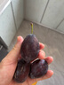庾豐當(dāng)季新鮮現(xiàn)摘西梅 新鮮水果整箱 孕婦藍蜜法蘭西梅 團購送禮 5斤裝（凈果4.5斤）甄選果王 顆顆甄選 產(chǎn)地直發(fā) 曬單實拍圖