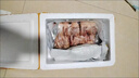 順豐鵪鶉母鵪鶉肉冷凍活體現殺鵪鶉白條燉湯燒烤生骨肉鵪鶉10只裝 10只鵪鶉【3兩左右/只】 曬單實(shí)拍圖