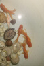 紅國獅金魚(yú)冷水魚(yú)鴻運當頭鶴頂鎏金金魚(yú)苗獅子頭好養耐活淡水金魚(yú) 紅國獅10-12cm5條 曬單實(shí)拍圖