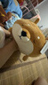 名創(chuàng)優(yōu)品（MINISO）柴犬系列毛絨公仔趴姿玩具娃娃抱枕睡覺室內(nèi)臥室辦公室生日禮物 曬單實拍圖