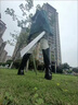 進(jìn)擊的巨人cos服自由之翼兵長(cháng)披斗篷cosplay服裝萬(wàn)圣節漫展披風(fēng) 綠色標準款 M碼（身高163-173cm） 曬單實(shí)拍圖