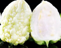 【超市品質(zhì)】蘋(píng)果苦瓜山東白玉苦瓜現摘農家自種新鮮蔬菜生鮮 蘋(píng)果苦瓜 5斤 凈重 曬單實(shí)拍圖