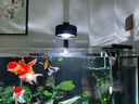 樂(lè )迪魚(yú)缸燈72W爆藻燈原生態(tài)溪流缸燈金魚(yú)出苔 NX扁燈  黑色30W 【不可調光】 曬單實(shí)拍圖