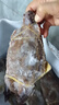 梭子蟹鮮活冷凍特大野生舟山大螃蟹海鮮新鮮冷凍海蟹水產(chǎn)飛蟹白蟹 大號梭子蟹【約5-7兩 】?jì)糁?斤 曬單實(shí)拍圖