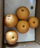 京鮮生 長城豐水梨 凈重5斤 單果250g+ 新鮮當(dāng)季 生鮮水果 曬單實(shí)拍圖