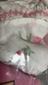 戴維貝拉（DAVE＆BELLA）女童短褲套裝洋氣寶寶衣服休閑童裝兒童上衣兩件套夏裝新款 草莓印花 100 cm（建議身高90-100cm） 曬單實拍圖