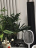 雅格(YAGE)電蚊拍防基孔肯雅熱充電式家用強力滅蚊拍紫光誘蚊滅蚊燈 曬單實(shí)拍圖