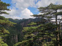 索尼（SONY）APS-C 半畫幅 標(biāo)準(zhǔn)變焦鏡頭 E卡口 E16-50mmF3.5-5.6黑色（拆機(jī)版） 官方標(biāo)配 曬單實(shí)拍圖