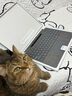 微軟【全新AI】Surface Pro第11版平板筆記本二合一13英寸OLED觸控電腦AIPC辦公商務(wù) 驍龍XElite(12核)32G 1TB 亮鉑金 【主機+原裝鍵盤(pán)（四色可選）+觸控筆2代+鼠標 曬單實(shí)拍圖