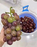 【空運】馬陸葡萄 上海嘉定玫瑰香醉金香巨峰夏黑葡萄浪漫紅顏 巨峰5斤 精選【馬陸果園現(xiàn)摘發(fā)出】 曬單實拍圖
