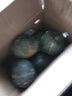 京鮮匠【JD快遞】山東真貝貝南瓜正宗 栗香粉糯小南瓜 新鮮蔬菜源頭直發(fā) JD快遞 精品裝 凈 4.5斤 (4-6個) 曬單實(shí)拍圖