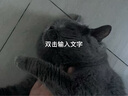 WOWO貓糧成貓 全價(jià)無谷鮮肉低溫烘焙貓干糧2kg 99.9%全鮮肉 曬單實(shí)拍圖