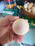 東方甄選雞蛋可生食雞蛋單枚約50g新鮮營養(yǎng)早餐溏心蛋生鮮谷物喂養(yǎng)鮮雞蛋 30枚 1.5kg 谷物鮮雞蛋 曬單實拍圖