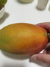 【樹上熟】攀枝花彩虹凱特芒900g 曬單實拍圖