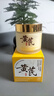儒意（RUYI）黃芪霜80g老國(guó)貨去黃提亮緊致抗皺舒緩補(bǔ)水保濕面霜男女士護(hù)膚品 曬單實(shí)拍圖