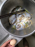 純色本味 冷凍舟山白鯧魚 800g 銀鯧魚 8-12條  地標產品 平魚 生鮮魚類 曬單實拍圖