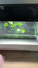 畫法幾何 小米米家智能魚缸濾芯 物理濾芯*1+生化濾芯*1 曬單實拍圖