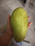 京鮮生 樹上熟 即食凱特芒果 5斤禮盒裝 3-4顆 生鮮水果 曬單實(shí)拍圖