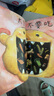大衛(wèi)不可以系列繪本大衛(wèi)去上學(xué)大衛(wèi)惹麻煩凱迪克大獎(jiǎng)繪本 啟發(fā)童書館兒童早教啟蒙幼兒園繪本0-3-6歲1998年《紐約時(shí)報(bào)》年度最佳圖畫書 大衛(wèi)不可以 曬單實(shí)拍圖