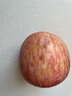 甜醉了 煙臺(tái)蘋(píng)果棲霞紅富士新鮮水果生鮮山東特產(chǎn)脆甜整箱平果禮盒禮品 紅富士?jī)糁?.5斤75-80mm 曬單實(shí)拍圖