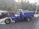 宗申宗申平座三輪車(chē)汽油三輪摩托車(chē)燃油水冷三輪貨運(yùn)農(nóng)用自卸翻斗三輪 宗申動(dòng)力風(fēng)冷或水冷 曬單實(shí)拍圖