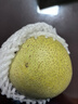京覓安徽碭山青梨 凈重4.5斤 單果250g+ 6-9個(gè) 青皮皇冠梨 源頭直發(fā) 曬單實(shí)拍圖