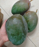 京鮮生 攀枝花凱特芒 凈重8.5斤 帶箱9斤 單果600g+ 生鮮水果 源頭直發(fā) 曬單實(shí)拍圖