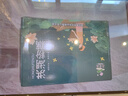 藕荷泥（OUHENI）正宗洪湖粉藕新鮮蓮藕湖北特產(chǎn)現挖九孔藕煲湯湖藕粉糯蓮藕蔬菜 洪湖粉藕5斤(藕王禮盒裝) 曬單實(shí)拍圖